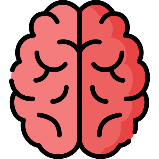 Éducation Kinesthésique (Brain Gym) pour l'apprentissage et la concentration des enfants et des adultes.