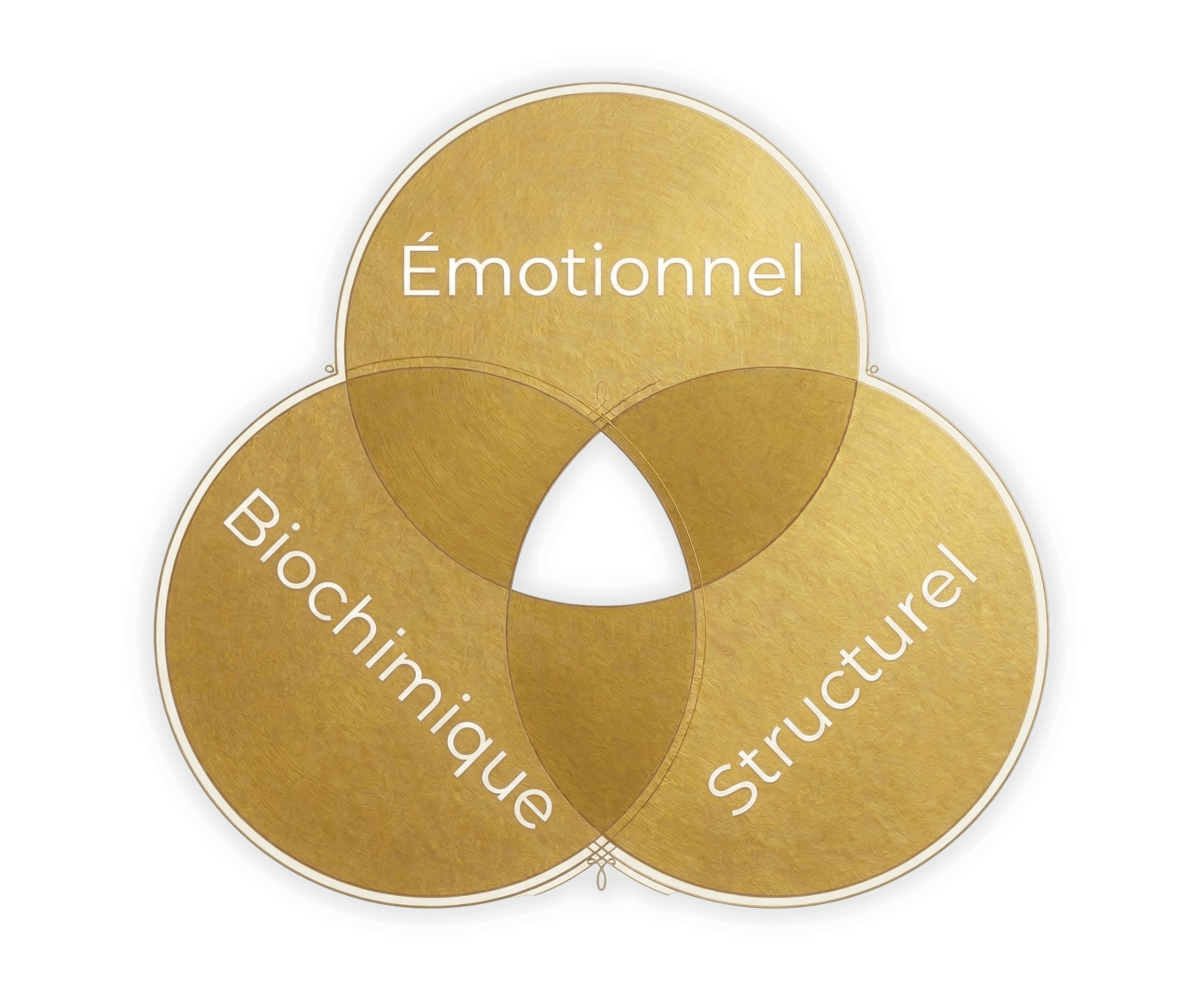 Triangle de la Santé