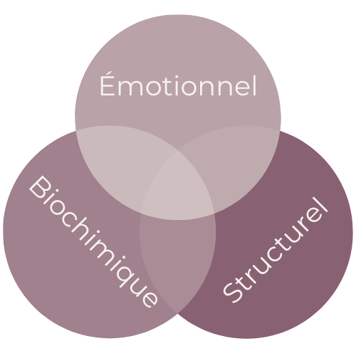 Schéma du Triangle de la Santé : équilibre émotionnel, structurel et biochimique.